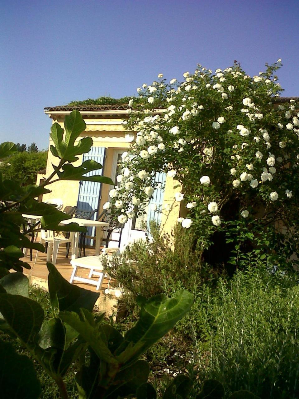 Hotel Domaine De La Begude Fayence Zewnętrze zdjęcie